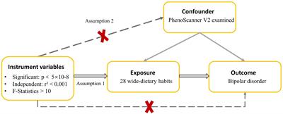 Associations between dietary habits and bipolar disorder: a diet-wide mendelian randomization study